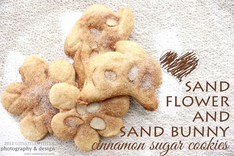 Sand Dollar Cinnamon Sugar Cookies | @mamamissblog #sun #surf #sand #beach