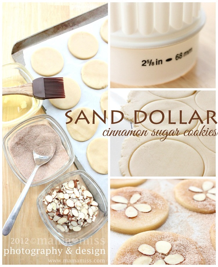Sand Dollar Cinnamon Sugar Cookies | @mamamissblog #sun #surf #sand #beach