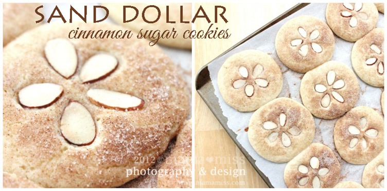 Sand Dollar Cinnamon Sugar Cookies | @mamamissblog #sun #surf #sand #beach