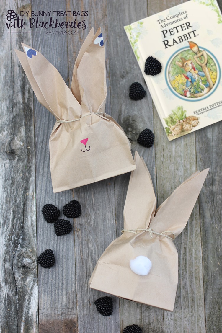 Super cute DIY Bunny Treat Bags filled with Blackberries to accompany The Tale of Peter Rabbit by Beatrix Potter.  From @mamamissblog