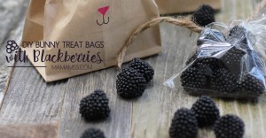 DIY Bunny Treat Bags filled with Blackberries