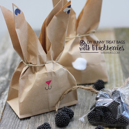 Super cute DIY Bunny Treat Bags filled with Blackberries to accompany The Tale of Peter Rabbit by Beatrix Potter.  From @mamamissblog