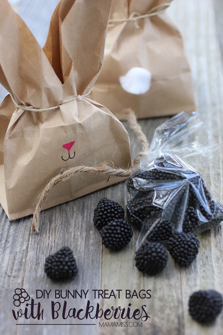 Super cute DIY Bunny Treat Bags filled with Blackberries to accompany The Tale of Peter Rabbit by Beatrix Potter.  From @mamamissblog
