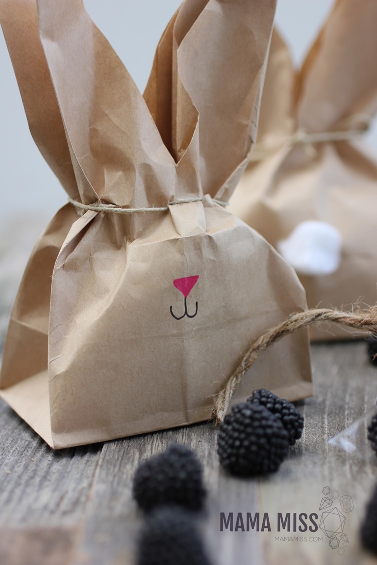 Super cute DIY Bunny Treat Bags filled with Blackberries to accompany The Tale of Peter Rabbit by Beatrix Potter.  From @mamamissblog